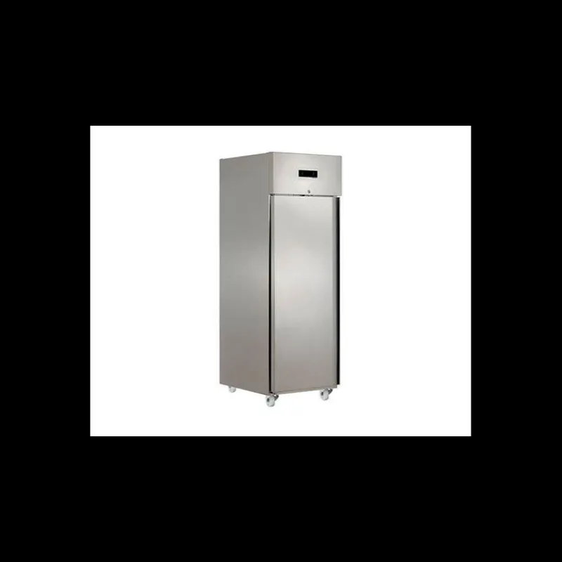 TECHNOFROID Froid*Armoire Réfrigérée Négative 610 L 1 Porte GN2/1