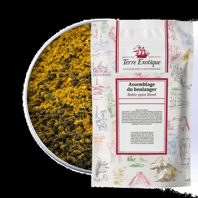 TERRE EXOTIQUE Marinade, Mélange Epices | Epices*Épices du Boulanger 500 g