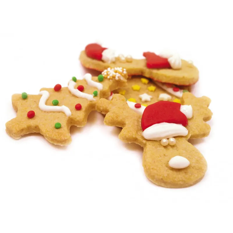 SCRAPCOOKING Produits Bio | Préparation Pâtisserie*Préparation Biscuits de Noël 291 g