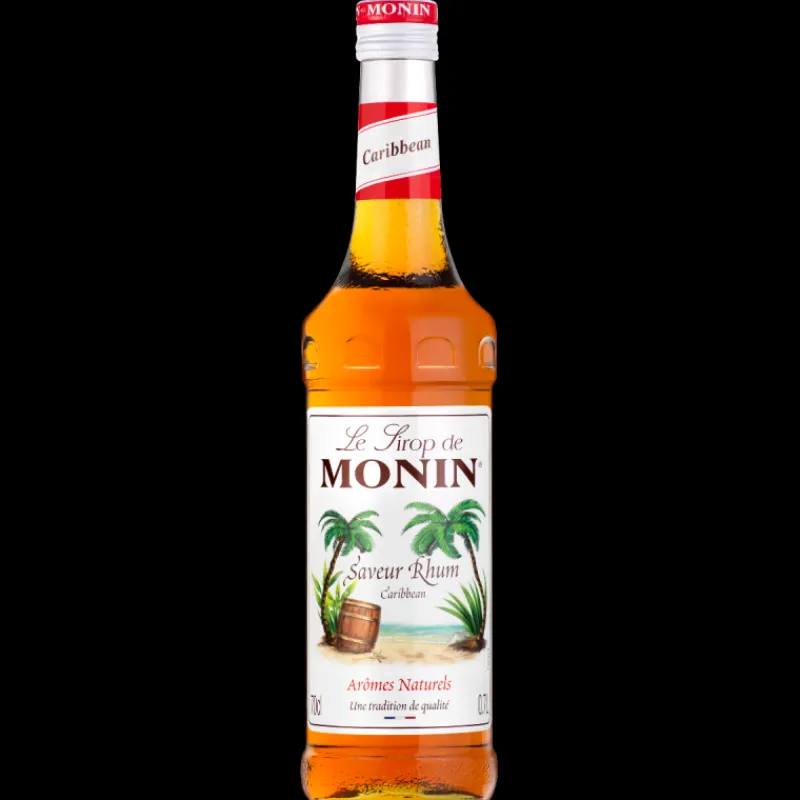 MONIN Jus, Sirops*Sirop Rhum 70 cl